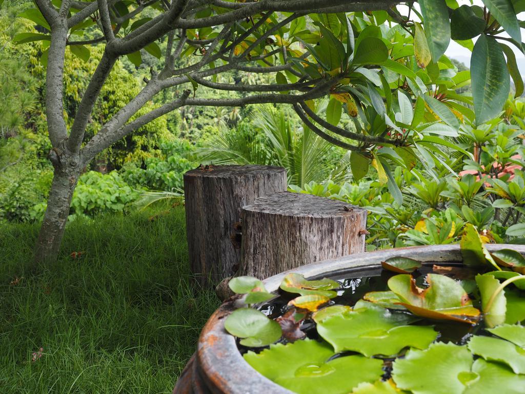 발릭플라우 Bao Sheng Durian Farm 빌라 외부 사진